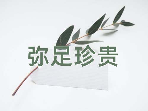 成语弥足珍贵