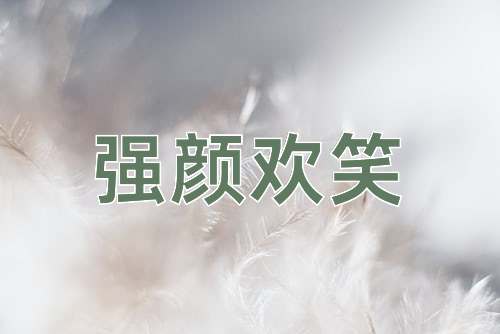 成语强颜欢笑