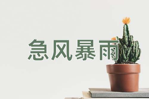 成语急风暴雨
