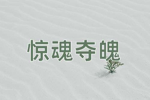 成语惊魂夺魄