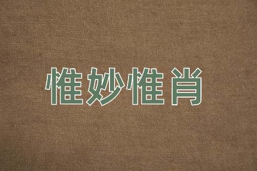 成语惟妙惟肖