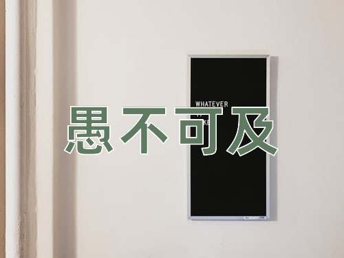 成语愚不可及