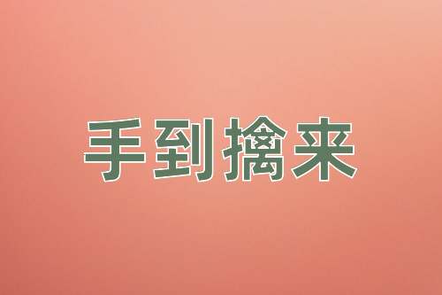 成语手到擒来