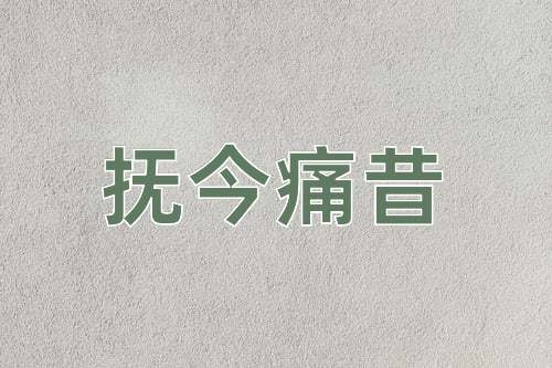 成语抚今痛昔