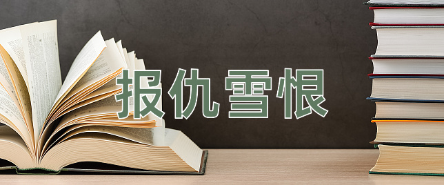 成语报仇雪恨