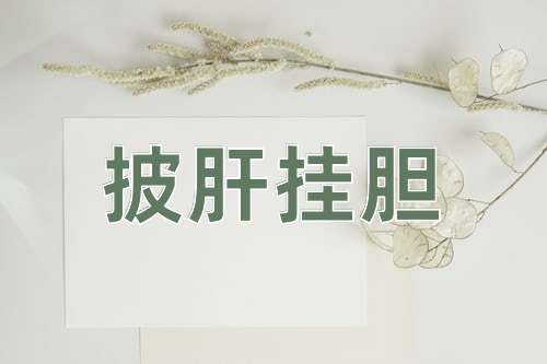 成语披肝挂胆