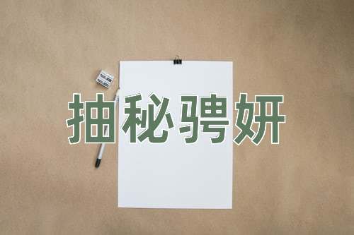 成语抽秘骋妍