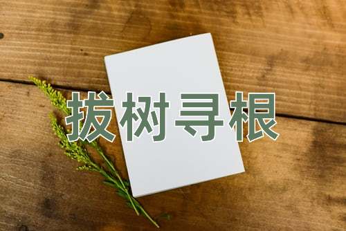 成语拔树寻根