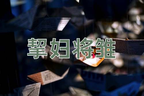成语挈妇将雏