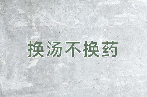 成语换汤不换药