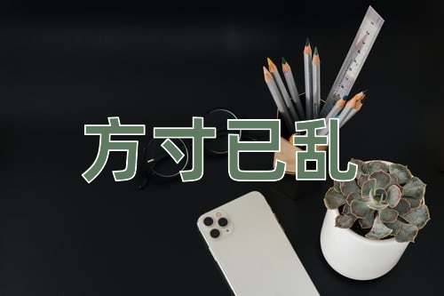 成语方寸已乱