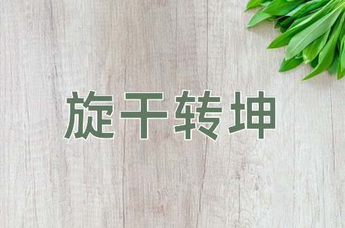 成语旋干转坤