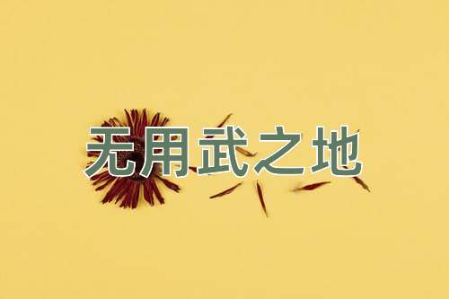 成语无用武之地