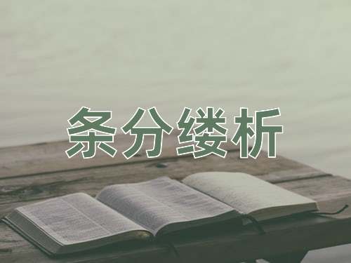 成语条分缕析