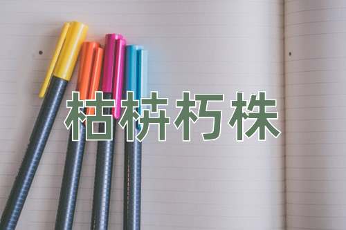 成语枯枿朽株