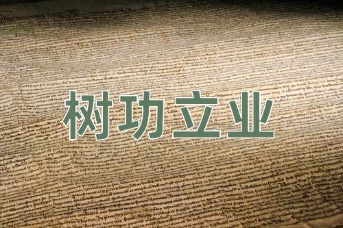 成语树功立业