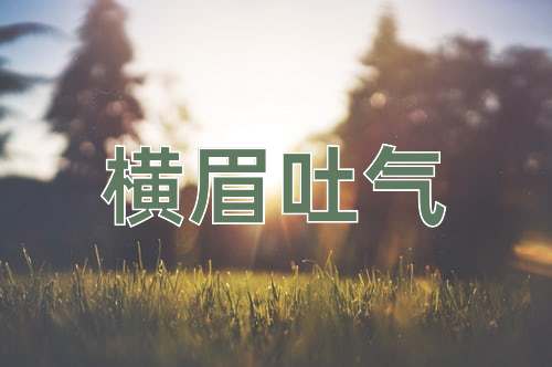 成语横眉吐气