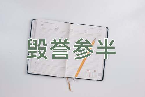 成语毁誉参半