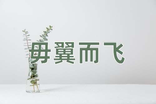 成语毋翼而飞