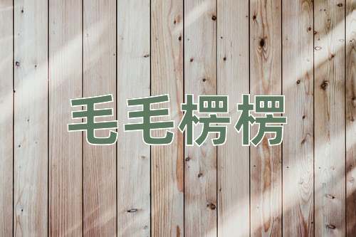 成语毛毛楞楞