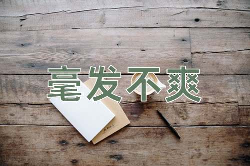 成语毫发不爽