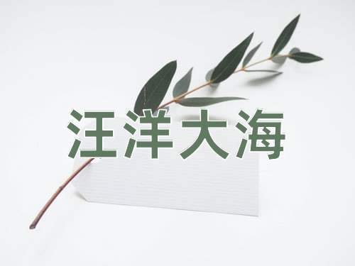 成语汪洋大海