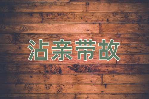 成语沾亲带故