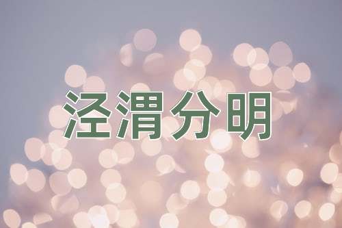 成语泾渭分明