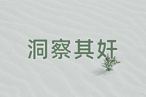 成语洞察其奸