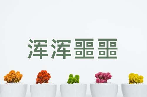 成语浑浑噩噩