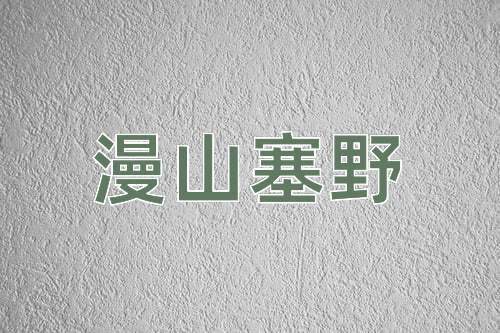成语漫山塞野