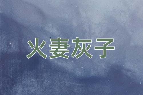 成语火妻灰子