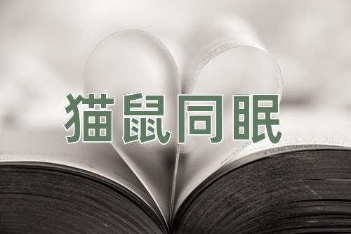 成语猫鼠同眠