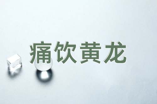 成语痛饮黄龙