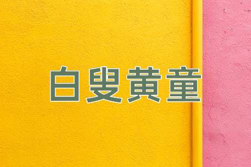 成语白叟黄童