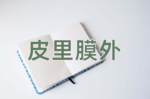 成语皮里膜外