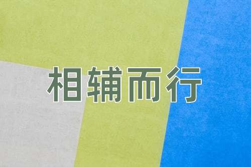 成语相辅而行
