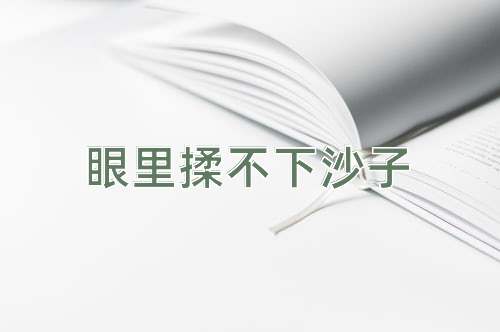 成语眼里揉不下沙子