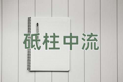 成语砥柱中流
