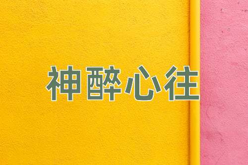 成语神醉心往