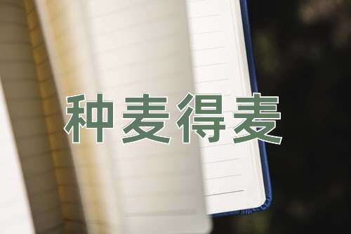 成语种麦得麦