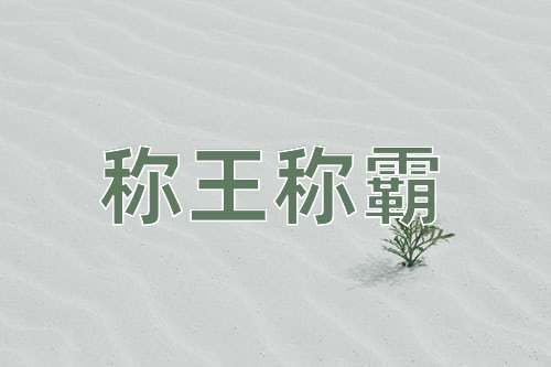 成语称王称霸