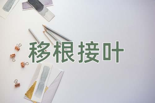 成语移根接叶