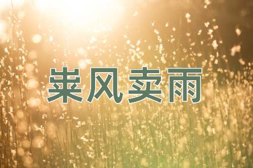 成语粜风卖雨