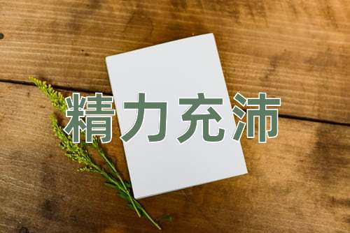 成语精力充沛