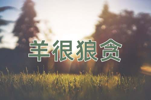 成语羊很狼贪