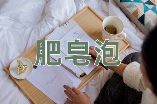 成语肥皂泡