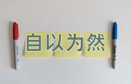 成语自以为然