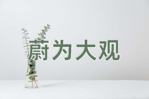 成语蔚为大观