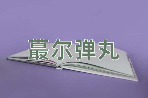 成语蕞尔弹丸